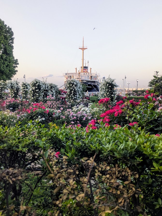 公園の写真